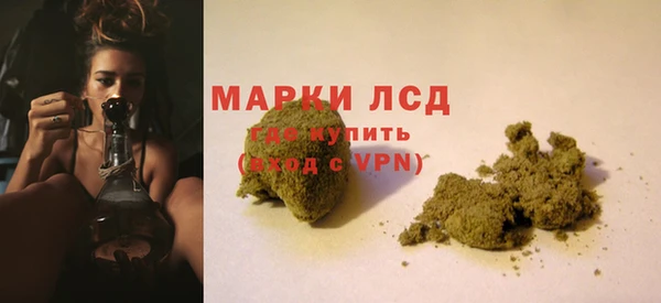 сатива Алексеевка