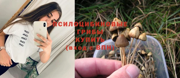 сатива Алексеевка