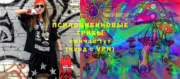 сатива Алексеевка