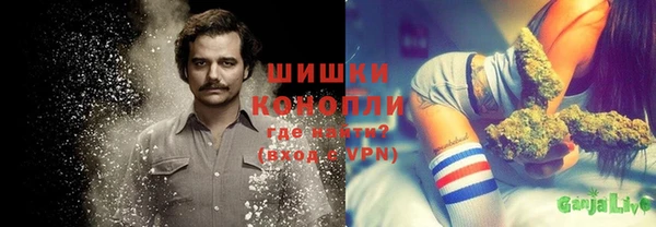 ешки Алексин