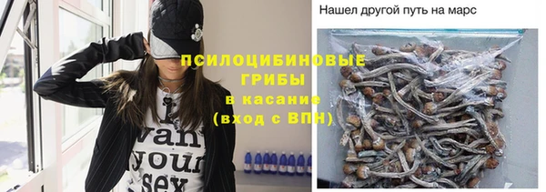 сатива Алексеевка