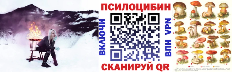даркнет сайт Каменногорск Псилоцибиновые грибы Psilocybe